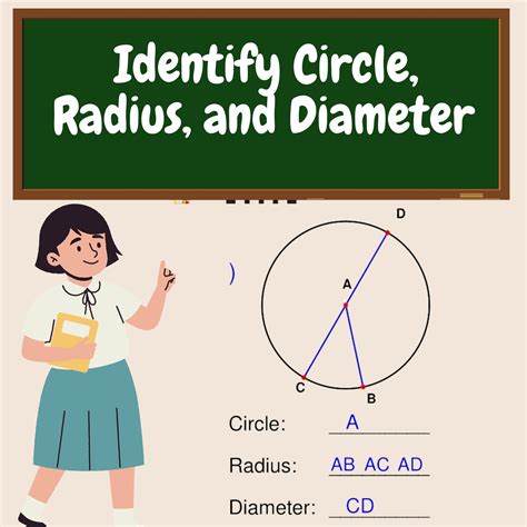 Identify Circle, Radius, and Diameter - Circle Worksheets | Made By Teachers