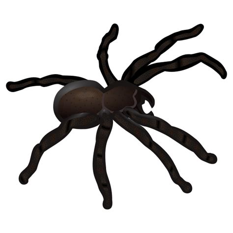 Black spider | Free SVG