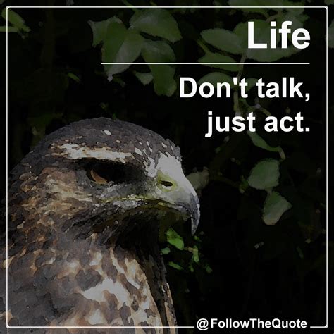 Falcon Quote / Falcons Quotes And Sayings Quotesgram / Admires the jay the insect's gilded wings ...