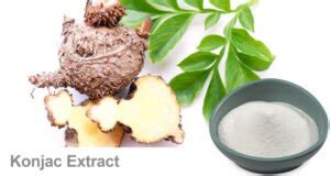 Glucomannan: Konjac Root Extract Uses, Benefits and More