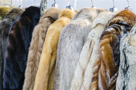 Fur Types | Mount Morris, MI | Superior Furs & Leather