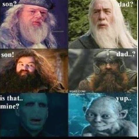 They should switch Gandalf and Dumbledore though :P | Harry potter ...