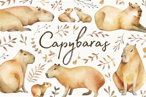 Cute Capybara Wallpapers - 4k, HD Cute Capybara Backgrounds on WallpaperBat