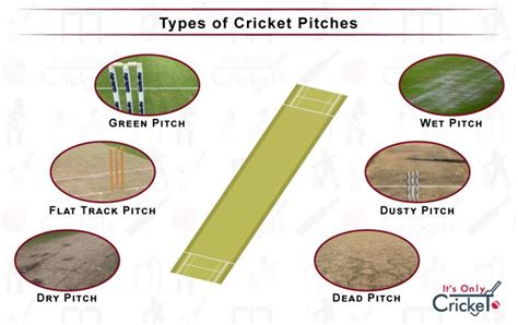 Different Types of Cricket Pitches and How to Read Them