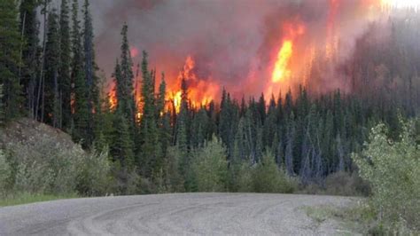 Forest Fire Prevention Tips: Safeguarding Canada’s Valuable Woodlands in 2023! – Everything ...