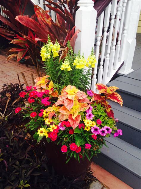 St. Augustine Hotel Wins City Award for Best Container Gardens