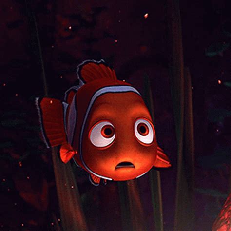 Finding Nemo Confused GIF - FindingNemo Confused LookingAround - Discover & Share GIFs