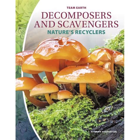 Decomposers and Scavengers (Paperback) - Walmart.com - Walmart.com