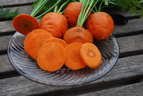 Carrot Varieties, Varieties of Carrots, Types of Carrots