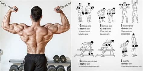 Back And Biceps: The Best Workout Combination - GymGuider.com