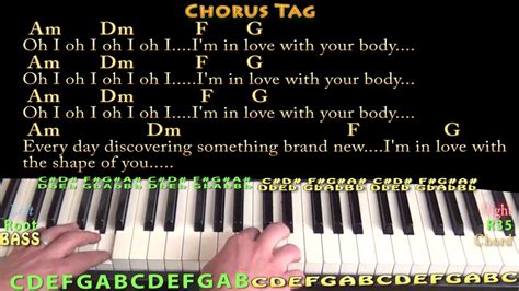 Shape of You (Ed Sheeran) Piano Cover Lesson in Am with Chords/Lyrics - YouTube