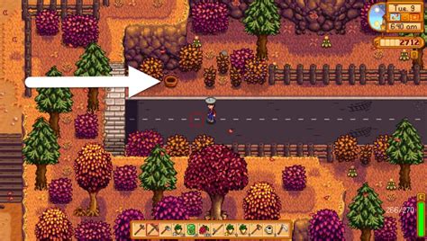 Where Do You Find Linus's Basket in Stardew Valley? Step by Step ...