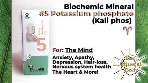 Potassium phosphate - Biological Function, Uses and Signs of Deficiency - The Mind Salt - YouTube