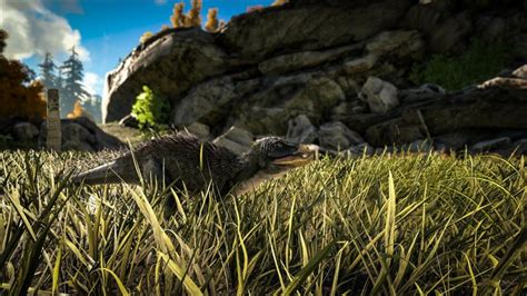 Dino Dossier Pegomastax - ARK: Survival Evolved