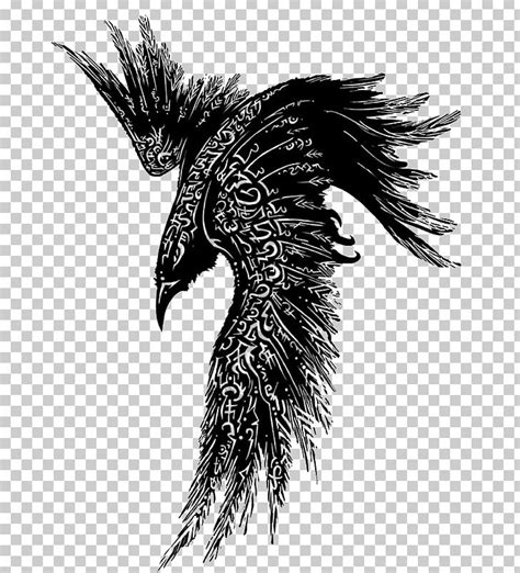 Odin Huginn And Muninn Tattoo Common Raven Thor PNG, Clipart, Bald ...