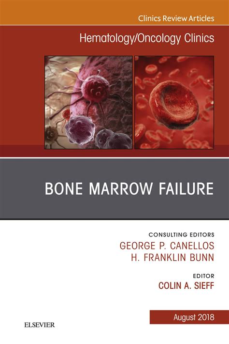 Bone Marrow Failure, An Issue of Hematology/Oncology Clinics of North America E-Book - E-Book