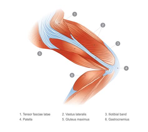 What Really Causes IT Band Syndrome Pain (And How Do You Fix It)? | Ascent Chiropractic