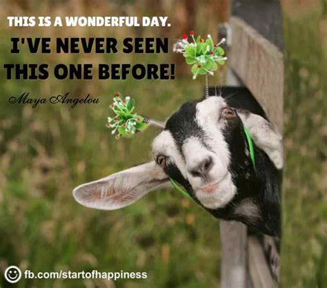 Top 100 Motivational & Inspirational Quotes For 2019 (Images) - The Start of Happiness | Goats ...