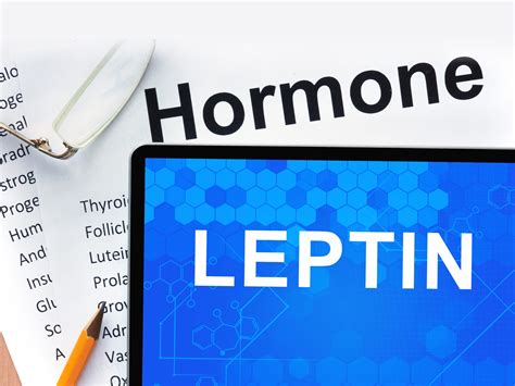 Leptin Hormone 101: What It Is & How to Fix It (For Optimal Body Weight)