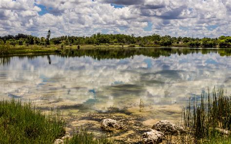 The Everglades: So Much More Than a National Park - Captain Mitch's ...