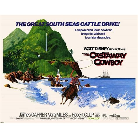 The Castaway Cowboy - movie POSTER (Style A) (11" x 14") (1974) - Walmart.com - Walmart.com