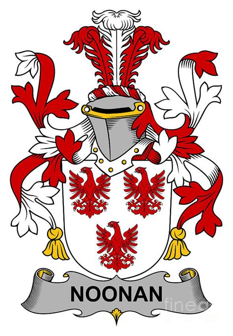 Noonan Coat of Arms Irish Digital Art by Heraldry