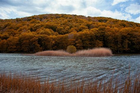 wallpaper river, trees, autumn, grass HD : Widescreen : High Definition ...