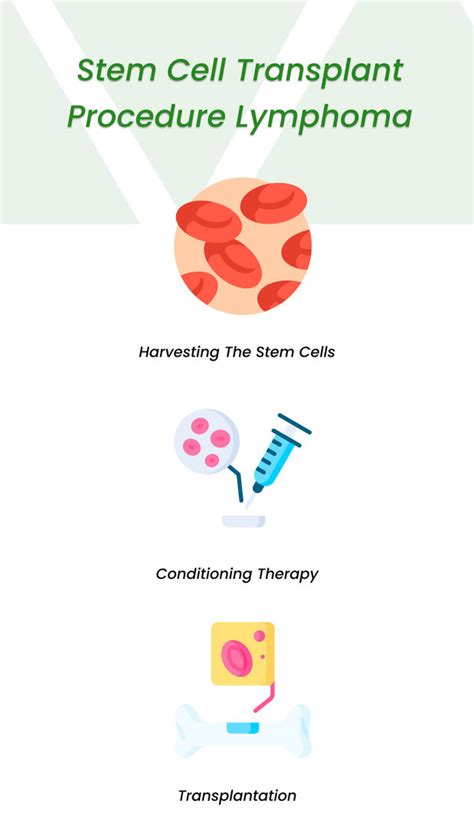 Stem Cell Transplant for Lymphoma 2023( All You Need To Know) | ClinicSpots