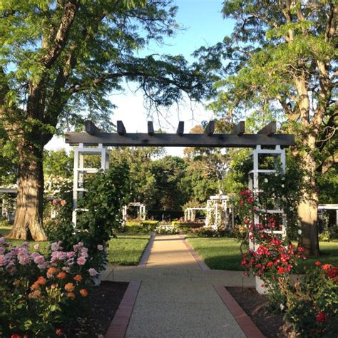 Old Parliament House Rose Garden, Canberra