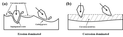 The metal loss is dominated by (a) erosion and (b) corrosion. | Download Scientific Diagram