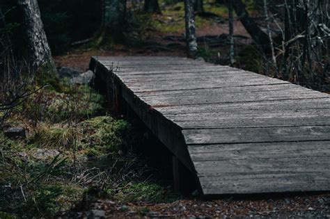 [OC - My Pic] Small Bridge | Farm landscaping, Small bridge, Landscape