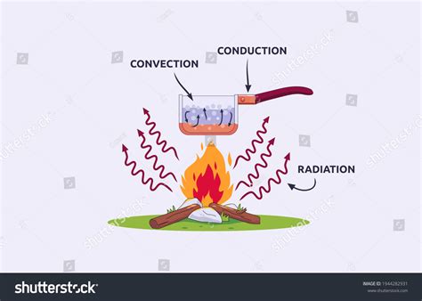 Vector Illustration Heat Transfer Convection Conduction Stock Vector ...