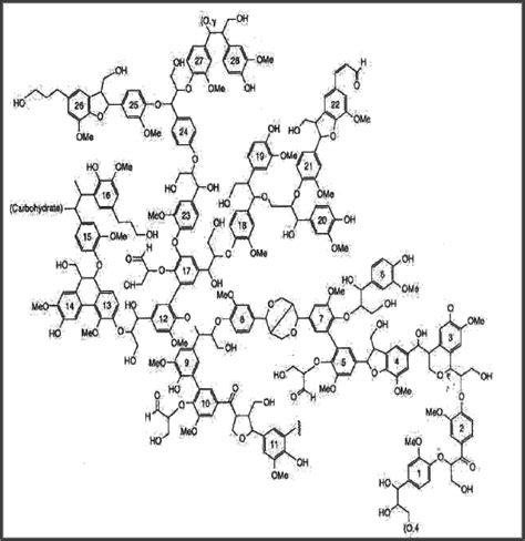 lignin structure (11) | Download Scientific Diagram