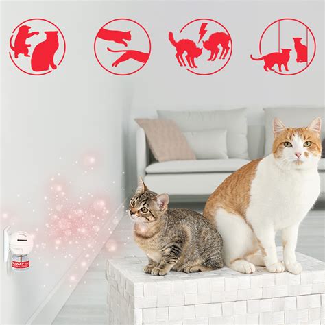 FELIWAY® Range | Cat Pheromone Diffusers and Calming Sprays