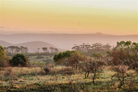 What Makes an Eastern Cape Safari So Special — Viatu