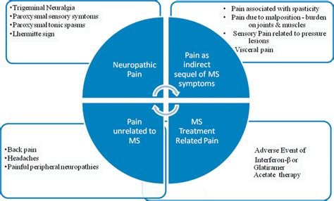 Types of pain in multiple sclerosis. 46 Abbreviations: MS, multiple... | Download Scientific Diagram