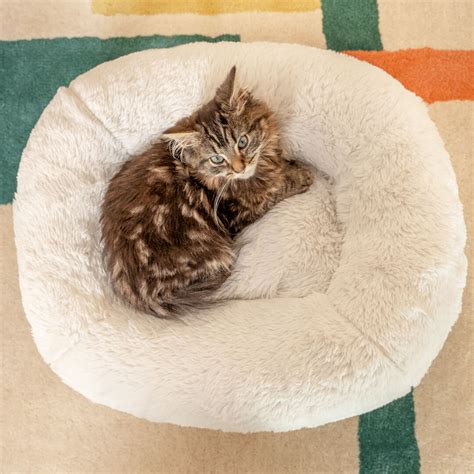 Maya Donut Elevated Cat Bed - Snowball White | Omlet