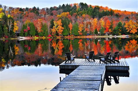 Indian Summer in Algonquin Provincial Park, Ontario, colors, forest, chairs, HD wallpaper | Peakpx