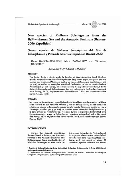 (PDF) New species of Mollusca Solenogastres from the Bellingshausen Sea ...