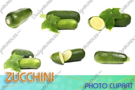 Zucchini photo clipart