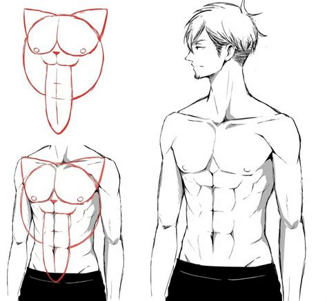 Male Pose Anime Body Base Abs - Kopi Anget