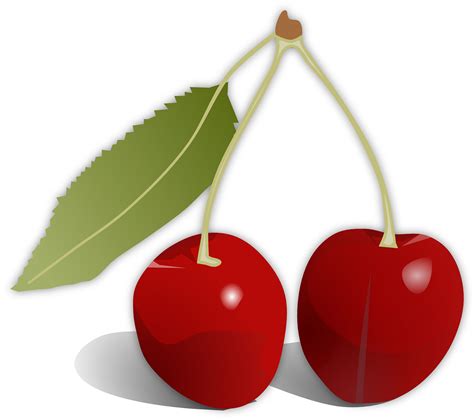Red Cherries With Leaf Vector Image - High Quality Free Stock Images
