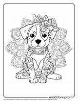 Easy Animal Mandala Coloring Pages 25  Inspiration Image Of sketch template