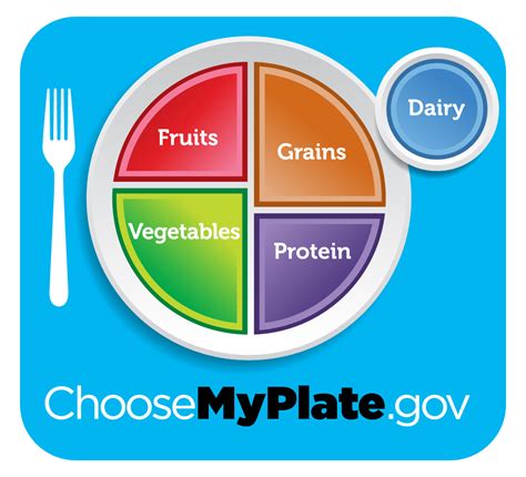 The USDA's 'MyPlate' is Actually Decent Nutrition Advice - Butter Believer