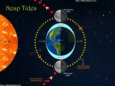 Gravity for Kids | What is Gravity? | Pull of Gravity | Gravitational Pull