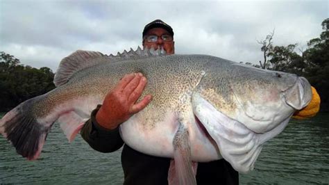 Time flies when you're having fun | Fishing | The Daily Advertiser | Wagga Wagga, NSW