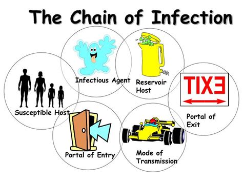 Reservoir Chain Of Infection Examples