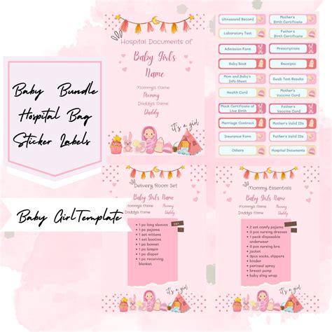 Baby Girl Pink Editable Hospital Documents Sticker Labels - Etsy