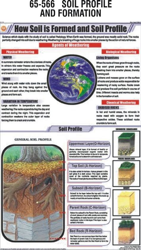 SOIL PROFILE & FORMATION - Hospital Equipment Manufacturing Company