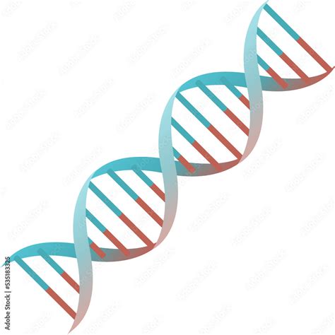 Cartoon DNA spiral genes isolated object illustration Stock ...